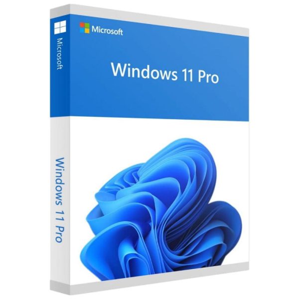 windows 11 pro key box
