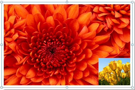 How to merge images or pictures into one in Word