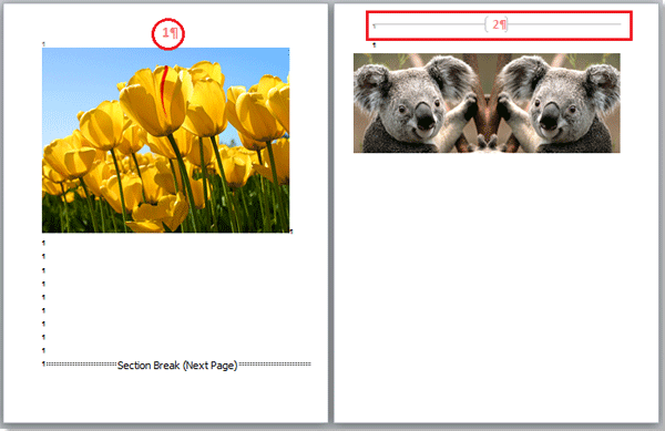 How to add different formats page numbers to certain pages in Word